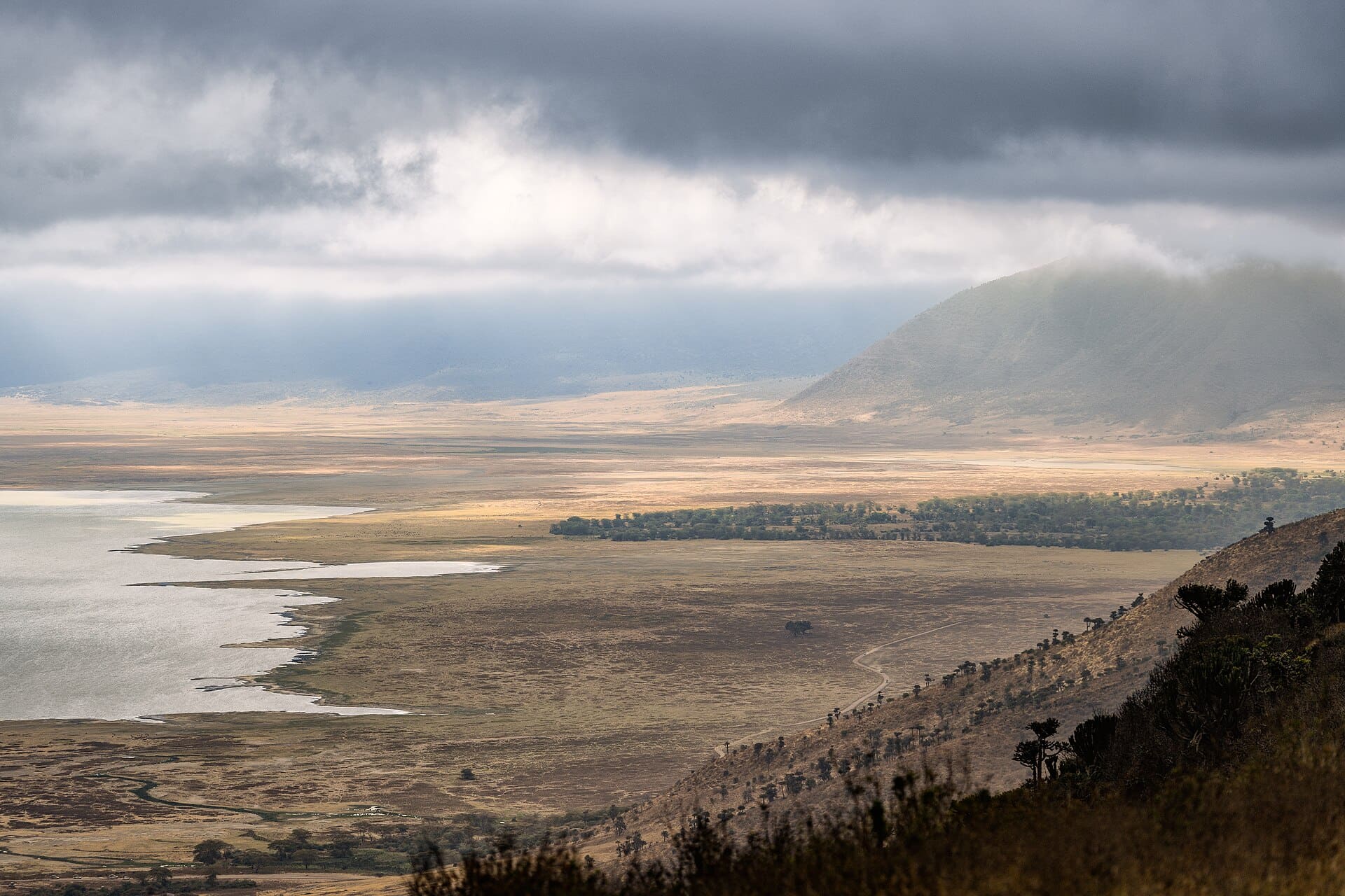 Ngorongoro