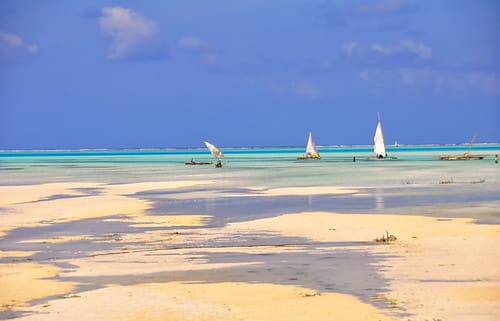 A dhow sailing at sunset off the coast of Zanzibar.